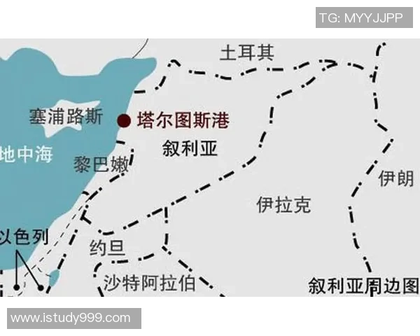 巴勒斯坦与叙利亚亚的历史渊源与未来展望分析
